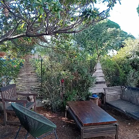 Maison Rustique 100m Du Bord De Mer Hébergement de vacances Hyères